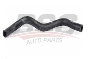 BSG 70720138 Su Hortumu