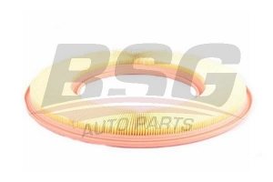 BSG 60135015 Hava Filtresi