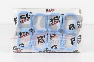 BSG 30116037 Manifold Contası Emme