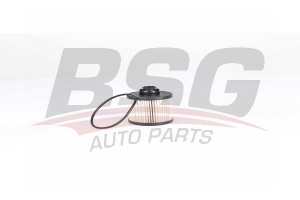 BSG 70130008 Yakıt Filtresi