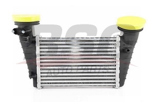 BSG 90535004 Turbo Radyatörü