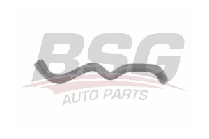 BSG 15720004 Su Hortumu