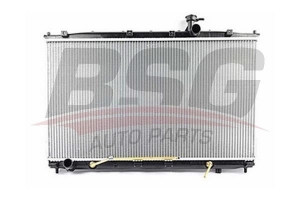 BSG 40520021 Su Radyatörü