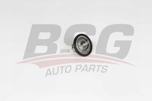 BSG 16125006 Termostat