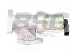 BSG 40836002 Egr Valfi