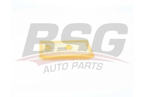 BSG 90135026 Hava Filtresi