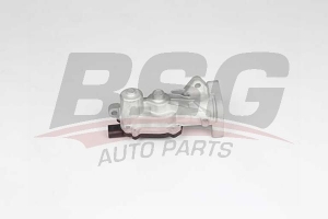BSG 65836014 Egr Valfi