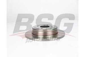 BSG 40210011 Fren Diski Arka