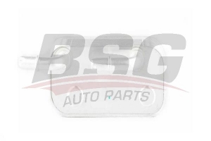 BSG 15506001 Yağ Soğutucusu