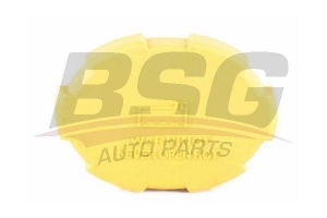 BSG 65551004 Radyatör Yedek Su Depo Kapağı