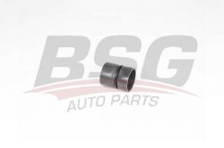 BSG 70720207 Turbo Hortumu