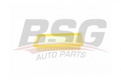 BSG 40135005 Hava Filtresi
