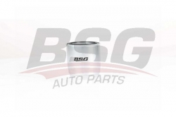 BSG 40130011 Yakıt Filtresi