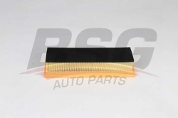 BSG 25135014 Hava Filtresi