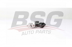 BSG 15836003 Egr Valfi