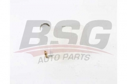 BSG 60550011 Radyatör Yedek Su Deposu
