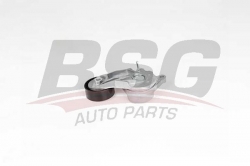 BSG 15615016 V Kayış Gergisi Komple