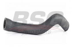 BSG 65720023 Radyatör Hortumu Alt