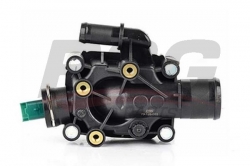 BSG 70126003 Termostat Komple