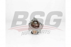 BSG 15500017 Devirdaim