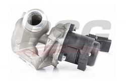 BSG 70836001 Egr Valfi