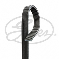 DAYCO 6DPK1195 V Kayışı
