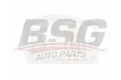 BSG 30966012 Cam Kriko Plastiği Ön