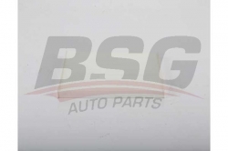 BSG 40145023 Polen Filtresi