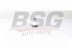 BSG 75310040 Rotil Alt