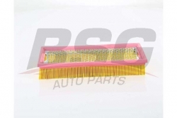 BSG 60135039 Hava Filtresi