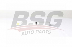 BSG 15130003 Yakıt Filtresi