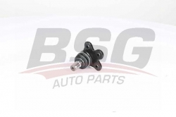 BSG 65310087 Rotil Alt