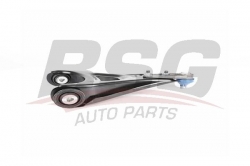 BSG 75315029 Salıncak Ön Sağ
