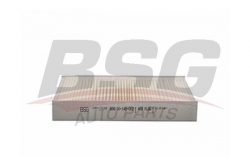 BSG 30145002 Polen Filtresi
