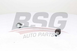 BSG 16310008 Viraj Askı Rotu Ön Sol