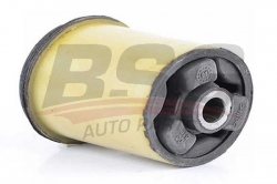 BSG 65700077 Dingil Burcu Arka