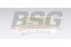 BSG 90145021 Polen Filtresi