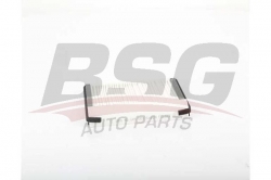 BSG 40145003 Polen Filtresi