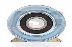 BSG 65615007 V Kayış Gergi Rulmanı