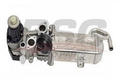 BSG 90836011 Egr Valfi