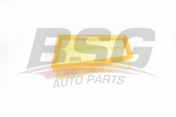 BSG 75135001 Hava Filtresi