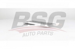 BSG 75145014 Polen Filtresi