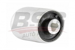 BSG 60700132 Salıncak Burcu