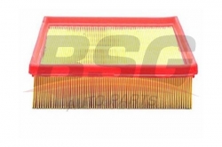 BSG 30135018 Hava Filtresi