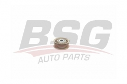 BSG 60615003 V Kayış Gergi Rulmanı