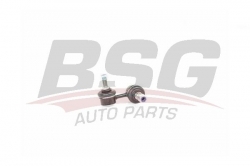 BSG 40310123 Viraj Askı Rotu Ön Sol