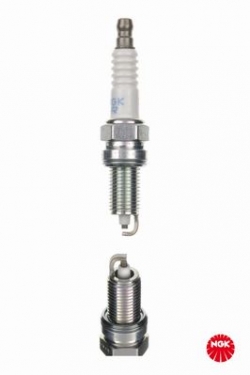 NGK 1691 Buji