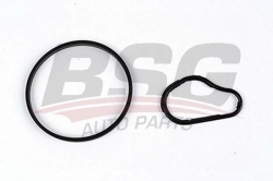 BSG 30235006 Vakum Pompa Tamir Takımı