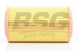 BSG 90135009 Hava Filtresi