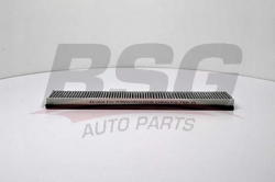 BSG 30145011 Polen Filtresi